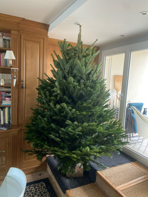 Sapin naturel premium installé chez un client Mon Bûcheron
